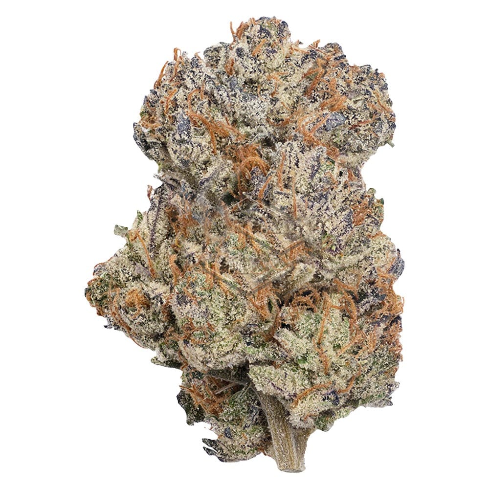 Detailansicht einer Permanent Marker x Spritzer Cannabisblüte – kompakte Struktur mit violett-grünen Nuancen, orangefarbenen Stigmen und dicker Trichombeschichtung
