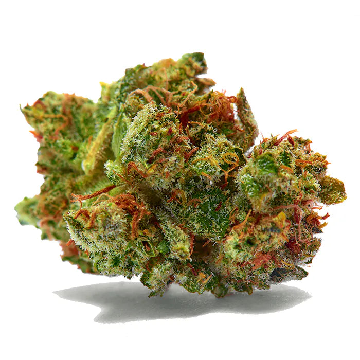 Dicht mit Harz überzogenes Bud der Sorte Sour Diesel x Kush – feminisierte Cannabissamen, vereint die kraftvolle Wirkung und das charakteristische Aroma von Sour Diesel mit den entspannenden Kush-Eigenschaften. Ideal für Indoor- und Outdoor-Grower auf der Suche nach Qualität und Stabilität.