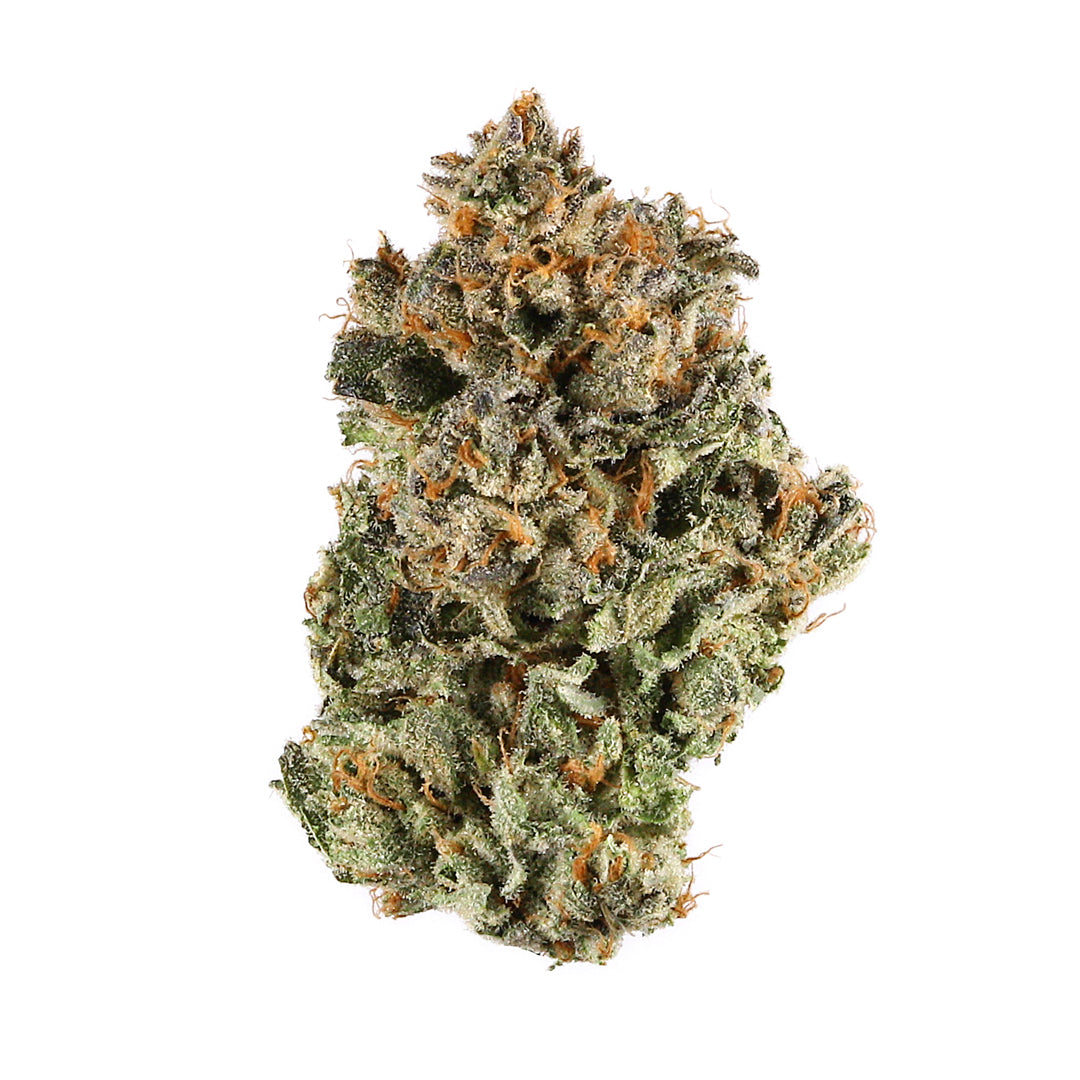 Sunset x Sherbert feminisierte Cannabissamen – dichte, kristallbedeckte Blüte mit sattem Grün und leuchtend orangefarbenen Fäden. Bekannt für süße, cremige Aromen und entspannende Wirkung.