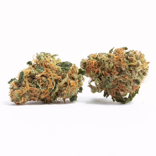 Nahaufnahme von zwei getrockneten Cannabisblüten der Sorte Amnesia Kush unserer feminisierten Cannabissamen. Die Blüten sind kompakt und mit einer dichten Schicht aus harzigen Trichomen bedeckt. Sie haben eine Mischung aus grünen, orangefarbenen und braunen Tönen, die ihre hohe Qualität und Potenz anzeigen.