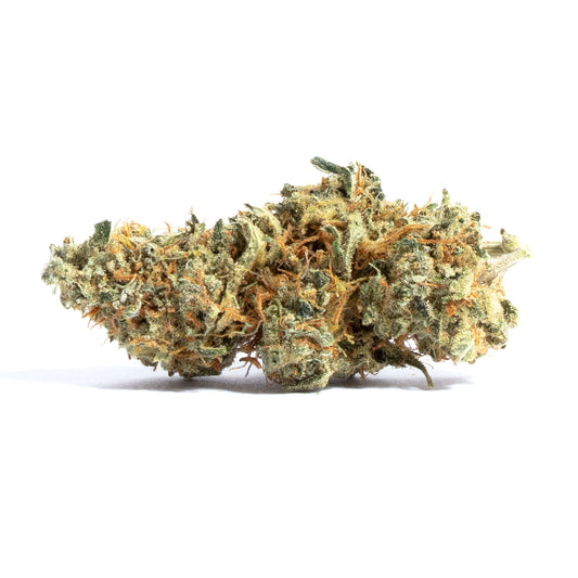 Nahaufnahme einer getrockneten Cannabisblüte der Sorte "AMNESIA | feminisierte Cannabissamen". Die Blüte ist dicht und mit zahlreichen harzigen Trichomen bedeckt. Sie zeigt eine lebhafte Mischung aus grünen und orangefarbenen Tönen, was auf ihre hohe Qualität und Potenz hinweist.