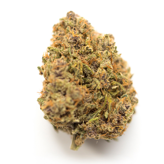 Critical Auto | autoflowering Cannabissamen