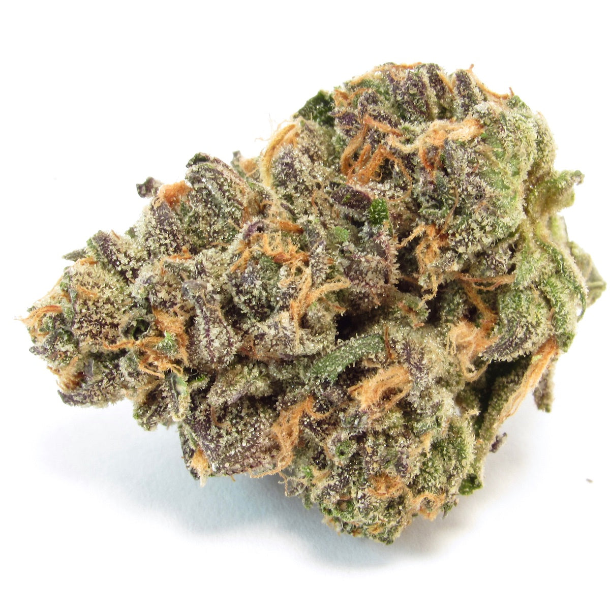 Nahaufnahme einer harzigen Cannabisblüte der Sorte Apple Bananas x Kosher Kush – feminisierte Cannabissamen mit fruchtig-würzigem Aroma und hohem THC-Gehalt