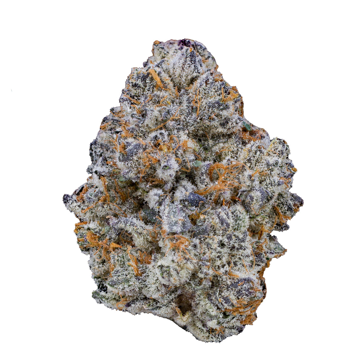 Kristallüberzogene Cannabisblüte der Sorte Blue Cookies x Kosher Kush – feminisierte Cannabissamen mit fruchtig-süßem Aroma und starkem Indica-Effekt