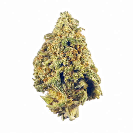 Nahaufnahme einer dichten, hellgrünen Cereal Milk x Kush Cannabisblüte mit orangefarbenen Blütenhaaren und einer dicken Schicht aus Trichomen – feminisierte Sorte mit Kush-Einflüssen