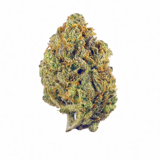 Kompakte Diesel Auto Cannabisblüte mit kräftig grüner Struktur, orangefarbenen Blütenhärchen und reichlich Trichomen – autoflowering Sorte mit charakteristischem Aroma.