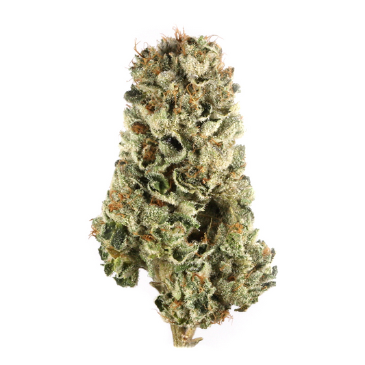 Kristallüberzogene Dip Stix x Spritzer Cannabisblüte mit dichter Struktur und leuchtend orangefarbenen Härchen – feminisierte Sorte mit süß-fruchtigem Aroma.