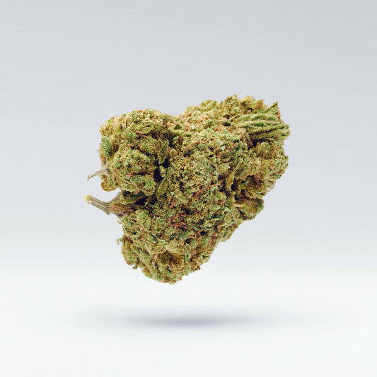 Cannabisblüte der Sorte Girl Scout Cookies – kompakte, dichte Struktur mit erdigen Grüntönen, feminisierte Sorte mit süßem, leicht würzigem Terpenprofil