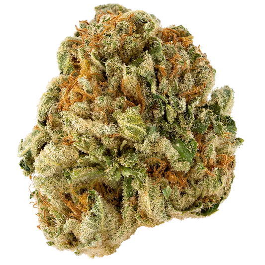 Nahaufnahme einer feminisierten Cannabisblüte der Sorte Honey Banana x Spritzer, mit intensiver Harzbildung, orangenen Härchen und dichten grünen und gelben Blütenblättern auf schwarzem Hintergrund.