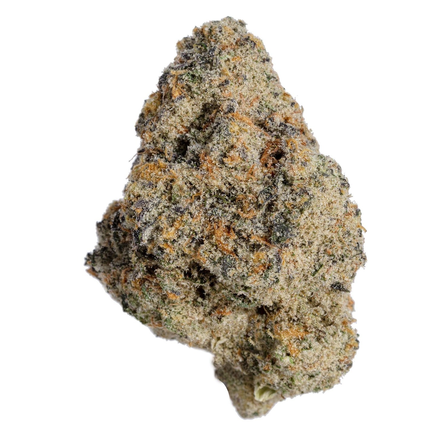Detailaufnahme einer dichten Cannabisblüte der Sorte Horchata x Nicole, reich an Harz mit auffälliger Trichombeschichtung und orangefarbenen Härchen auf weißem Hintergrund.