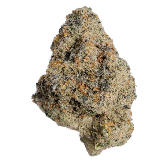 Detailaufnahme einer dichten Cannabisblüte der Sorte Horchata x Nicole, reich an Harz mit auffälliger Trichombeschichtung und orangefarbenen Härchen auf weißem Hintergrund.