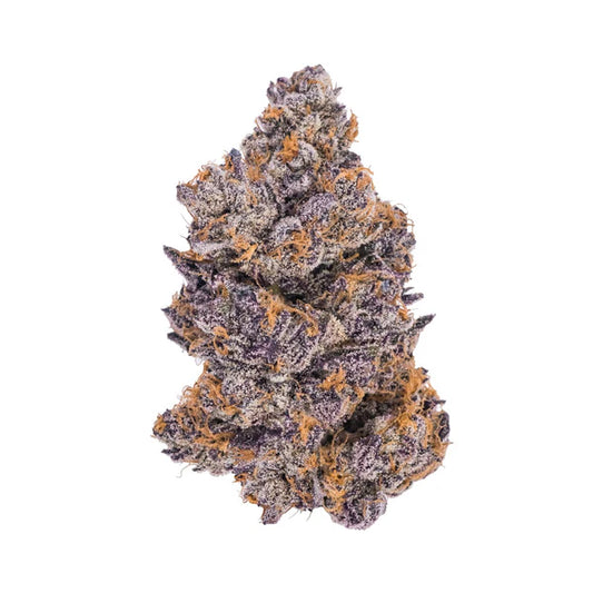 Detailreiche Nahaufnahme einer violett-grünen Cannabisblüte der Sorte Jealousy x Kush, überzogen mit Harz und auffälligen orangefarbenen Blütenhaaren auf weißem Hintergrund.