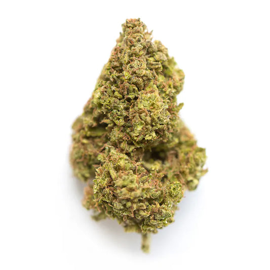 Nahaufnahme einer Log Cabin x Nicole Cannabisknospe mit dichten, harzigen Trichomen und orangefarbenen Blütenstempeln – feminisierte Hanfsamen