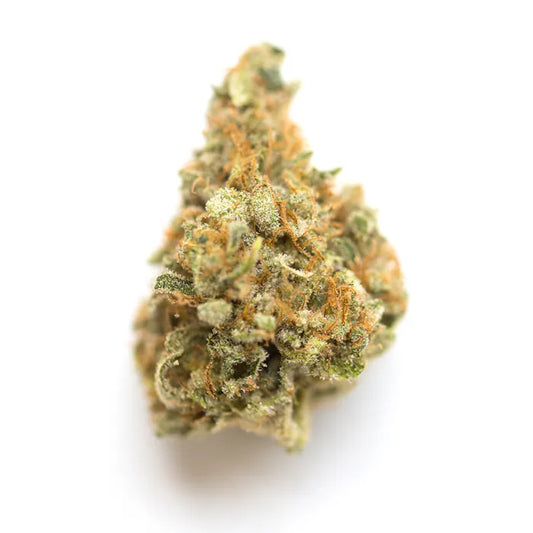 Nahaufnahme einer Mac #6 x Purple Punch Cannabissorte mit hellgrünen Buds, orangefarbenen Härchen und dichter Harzschicht – feminisierte Cannabissamen bei Green German Seeds