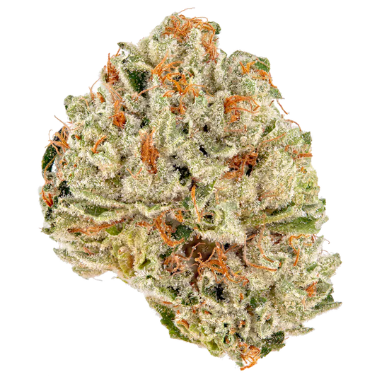 Makroaufnahme der Sorte Northern 5 Haze x OG Kush – kristallbedeckte Blüte mit hellgrünen Nuancen und kräftig orangefarbenen Härchen, feminisierte Cannabissamen
