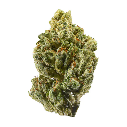 Detailansicht einer OG Kush x Kush Blüte – kompakte, harzige Struktur mit limettengrünen Blättern und leuchtend orangefarbenen Stempeln, feminisierte Cannabissamen