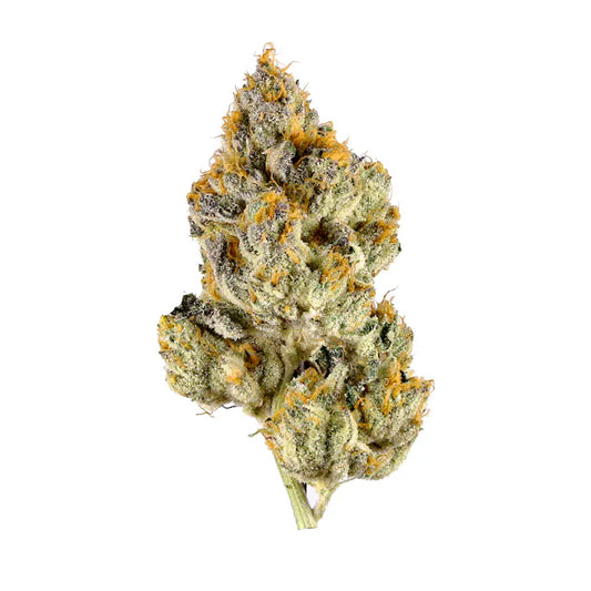 Detailansicht einer feminisierten Oreoz x Kosher Kush Cannabisknospe – kompakter Bud mit frostiger Trichomschicht, violetten Nuancen und orangefarbenen Härchen
