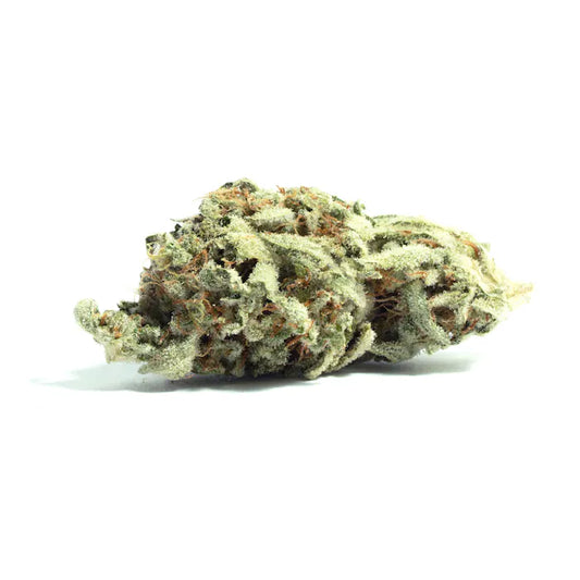 Makroaufnahme einer Oter Pops x Kosher Kush Cannabissorte – dichte, harzige Blüte mit weißlich-grüner Trichomschicht und orangefarbenen Härchen