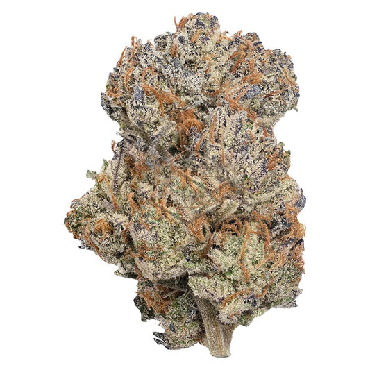 Detailansicht einer Permanent Marker x Spritzer Cannabisblüte – kompakte Struktur mit violett-grünen Nuancen, orangefarbenen Stigmen und dicker Trichombeschichtung
