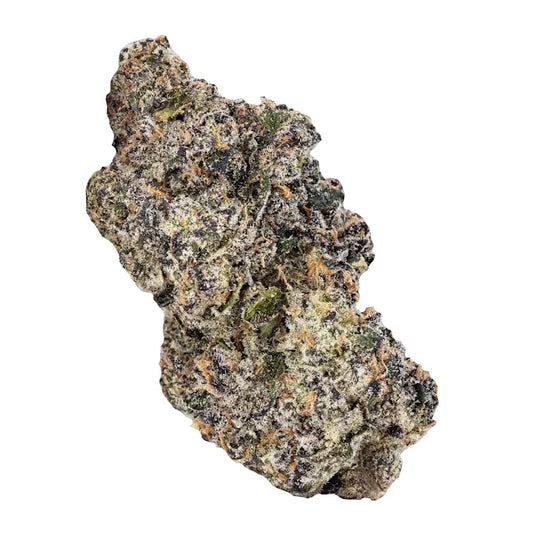 Makroaufnahme einer Purple Octane x Spritzer Cannabisblüte – dunkellila und grüne Bud-Struktur, überzogen mit kristallinen Trichomen und orangefarbenen Härchen