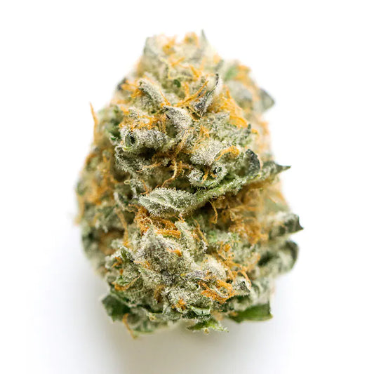 Nahaufnahme einer RS11 x Kosher Kush Cannabisblüte – kompakte Bud-Struktur mit dickem Harzüberzug, leuchtend orangefarbene Härchen und frische grüne Untertöne – hochwertige feminisierte Hanfsamen für Indoor- und Outdoor-Grower