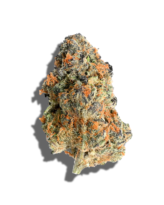 RS54 x Kosher Kush Cannabisblüte auf schwarzem Hintergrund – dichte, harzige Bud-Struktur mit tiefvioletten und grünen Tönen, durchzogen von auffälligen orangefarbenen Blütenhärchen – feminisierte Hanfsamen-Sorte für höchsten Anspruch