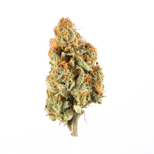 Makroaufnahme einer Rudeboi x Alien Rock Cannabisblüte – spitz zulaufender Bud mit intensiver Trichomen-Schicht, orangenen Blütenhaaren und lebendigen Grüntönen – feminisierte Hanfsamen für kraftvolle Genetik und hohe Harzproduktion