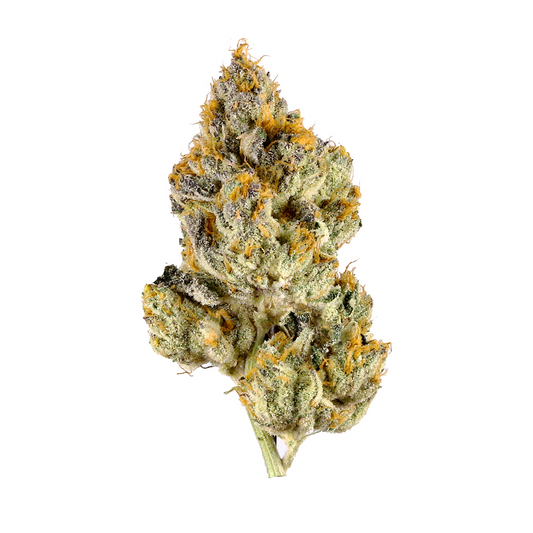 Makroaufnahme einer SoaP x Kosher Kush Cannabisblüte – kompakter, harzüberzogener Bud mit intensivem Orange-Grün-Kontrast, dichter Trichombesatz und auffällige Blütenstruktur – feminisierte Cannabissamen mit starkem Kush-Aroma und entspannender Wirkung