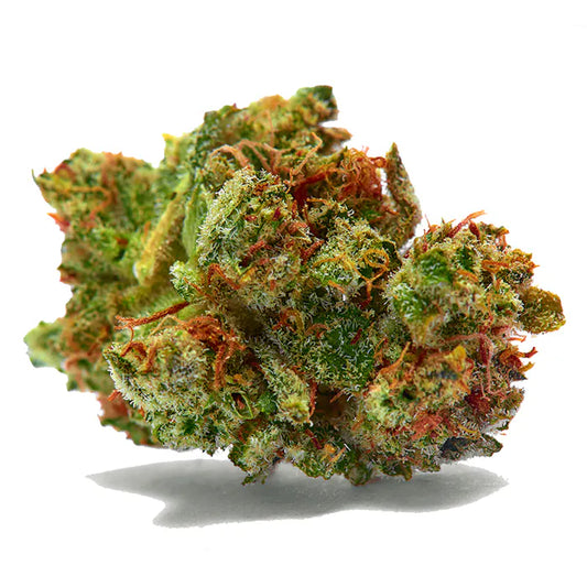 Dicht mit Harz überzogenes Bud der Sorte Sour Diesel x Kush – feminisierte Cannabissamen, vereint die kraftvolle Wirkung und das charakteristische Aroma von Sour Diesel mit den entspannenden Kush-Eigenschaften. Ideal für Indoor- und Outdoor-Grower auf der Suche nach Qualität und Stabilität.