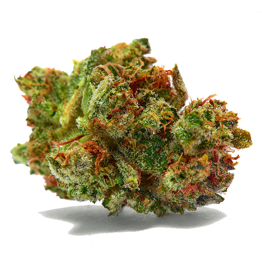 Makroaufnahme einer Sour Diesel x Purple Punch Cannabisblüte – auffällig bunter Bud mit intensiven Rottönen, leuchtend grünen Nuancen und reichlich Trichomen – feminisierte Cannabissamen mit fruchtig-dieselartigem Aroma und starkem Hybrid-Effekt