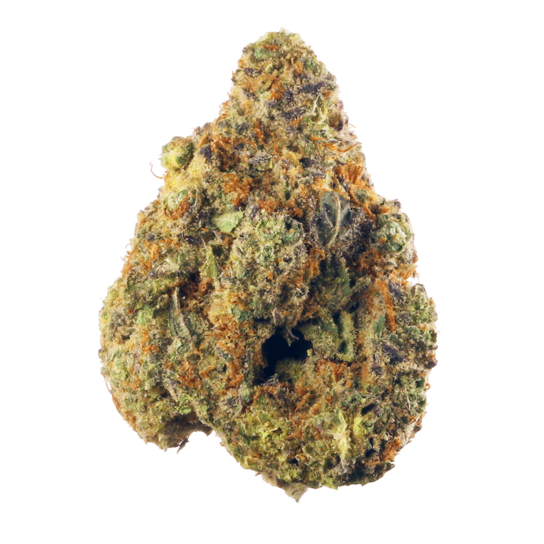 Kompakte Blüte der Sorte Spritzer x Purple Punch – feminisierte Cannabissamen mit fruchtigem Aroma, dichter Harzschicht und violett-grünen Nuancen. Eine hochwertige Kreuzung für Züchter, die süße Terpene und starke Wirkung kombinieren möchten.