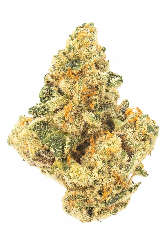 Makroaufnahme einer kompakten Cannabisblüte der Sorte Supersonic x Kosher Kush – feminisierte Cannabissamen. Die Blüte ist reich an Trichomen, mit leuchtend orangefarbenen Härchen und einem Mix aus hellgrünen und dunkelgrünen Nuancen – ideal für visuelle Darstellungen im Cannabis E-Commerce.