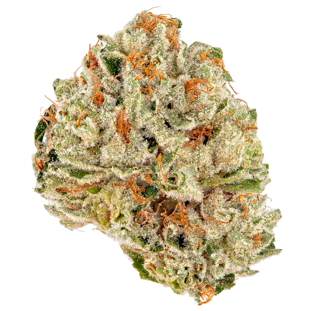 Detailreiche Nahaufnahme einer harzreichen Cannabisblüte der Sorte Tangerine Cookies x Alien Rock – feminisierte Cannabissamen. Die Blüte ist dicht mit Trichomen überzogen, mit auffälligen orangefarbenen Stigmen und lebendig grünen Akzenten