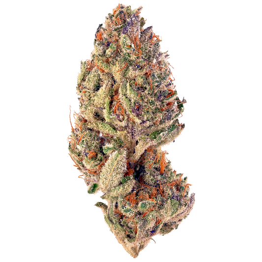 Detailreiche Nahaufnahme einer feminisierten Cannabisblüte der Sorte Tropicana Cookies x Permanent Marker. Die Bud zeigt intensive violette und grüne Nuancen, durchzogen von orangefarbenen Stigmen und einer dichten Schicht aus glitzernden Trichomen
