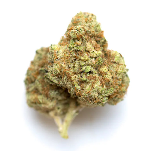 Makroaufnahme einer kristallbedeckten Cannabisblüte der Sorte Watermelon – autoflowering Cannabissamen mit grünlich-braunen Farbtönen, intensiven Trichomen und orangefarbenen Blütenstempeln auf weißem Hintergrund.