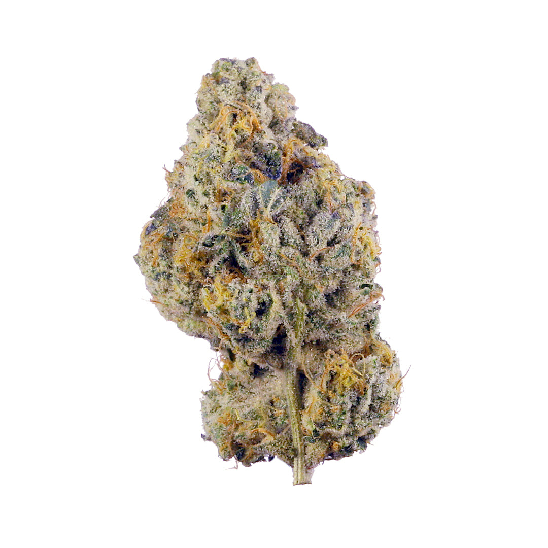 Detailaufnahme einer feminisierten Cannabisblüte der Sorte Wedding Cake x Kush – dichter Bud mit kristallartiger Trichombeschichtung, violetten Nuancen und orangefarbenen Härchen auf weißem Hintergrund.