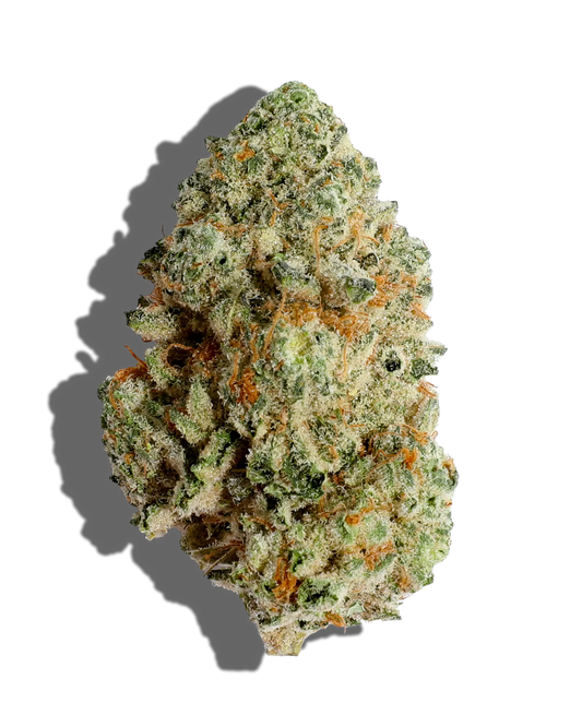 Makroaufnahme einer feminisierten Cannabisblüte der Sorte Wedding Crasher x Kush – kompakter, harziger Bud mit hellgrüner Struktur, orangen Blütenhaaren und dicker Trichomschicht vor schwarzem Hintergrund.